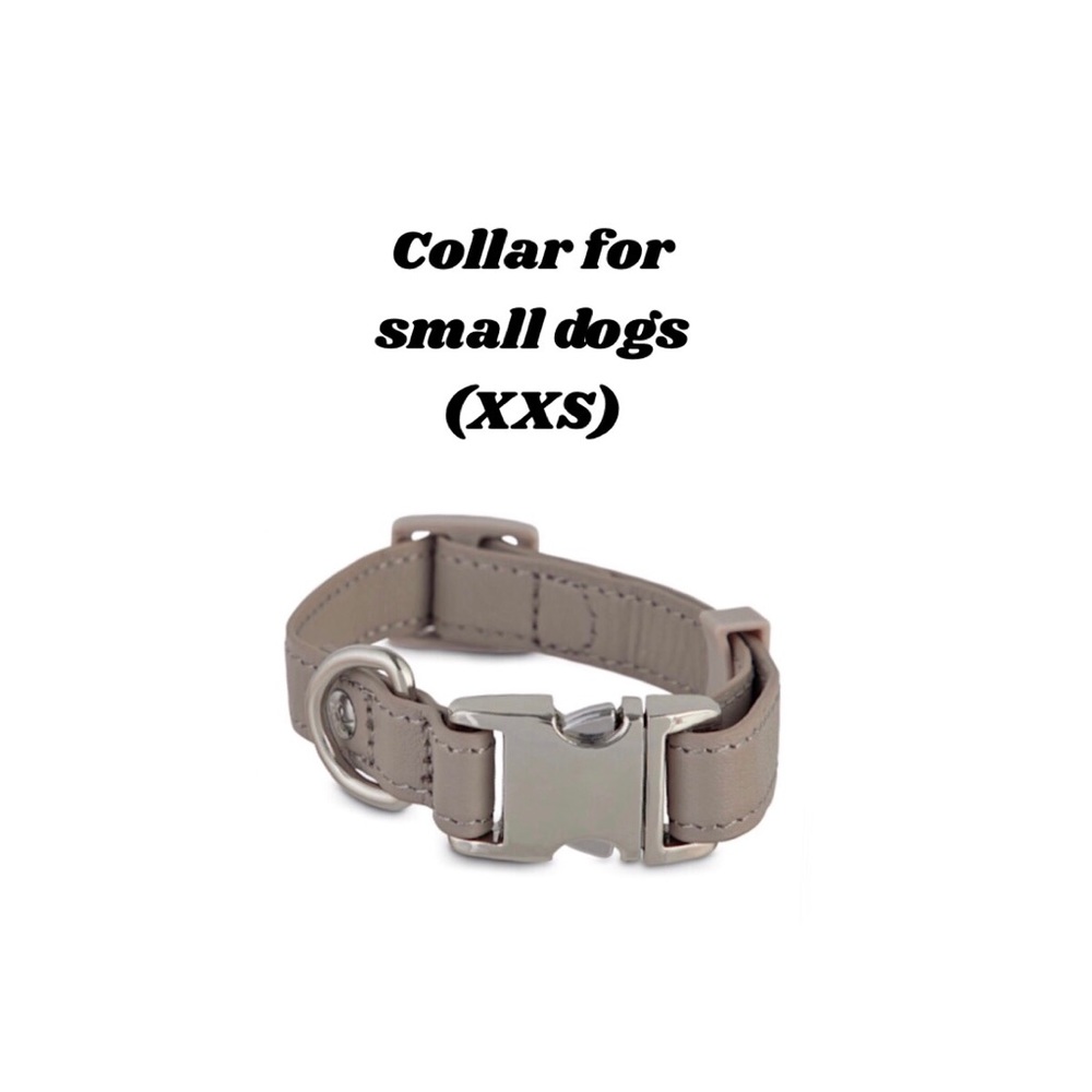 Bond & Co Leather Dog Collar For Small Dogs, XXS